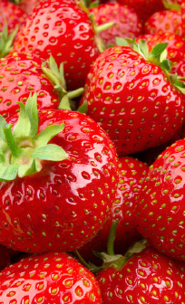 Erdbeeren