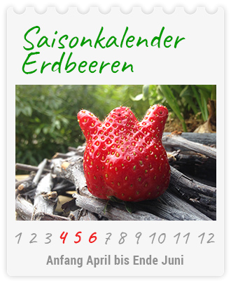 Saisonkalender Erdbeeren