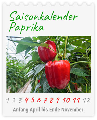 Saisonkalender Paprika